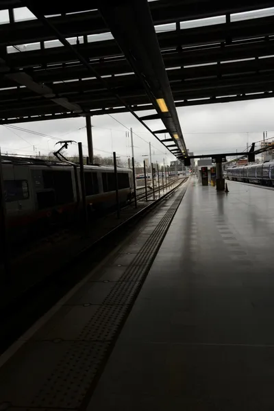 DSC_1235 (Large).JPG